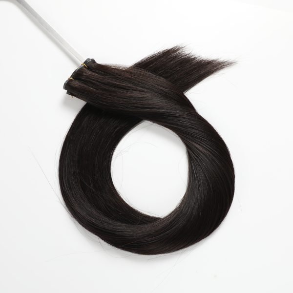 Genius Weft Seamless Invisible Human Hair Extension 1b#