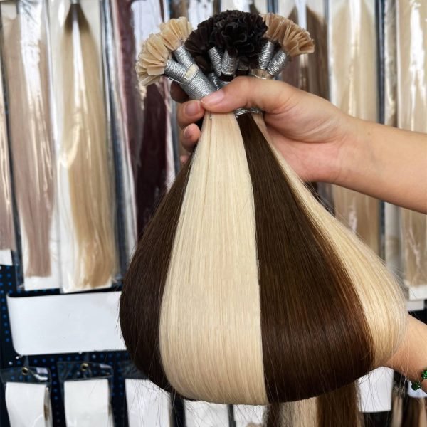 Wholesale Price U-Tip Extensions Double Drawn Cuticle Aligned Human Hair